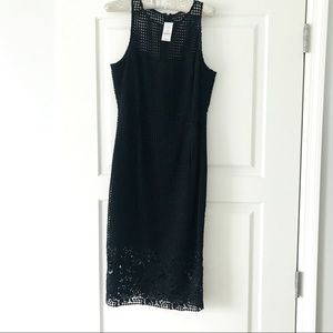 Black cotton lace over taffeta sheath